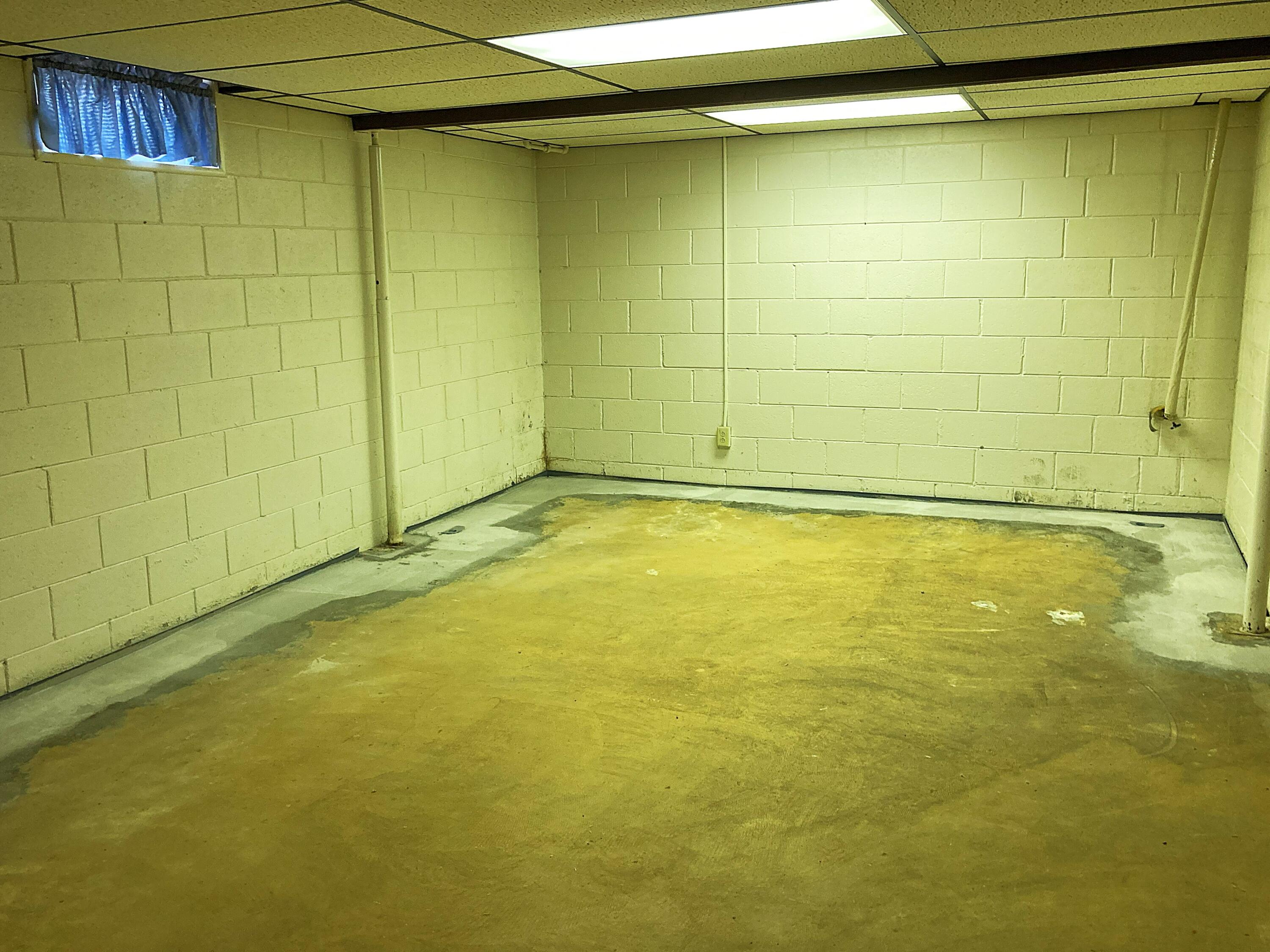 503 West Gilson Street Edmore, MI 48829 - Photo 38 of 52 Basement Rec Room