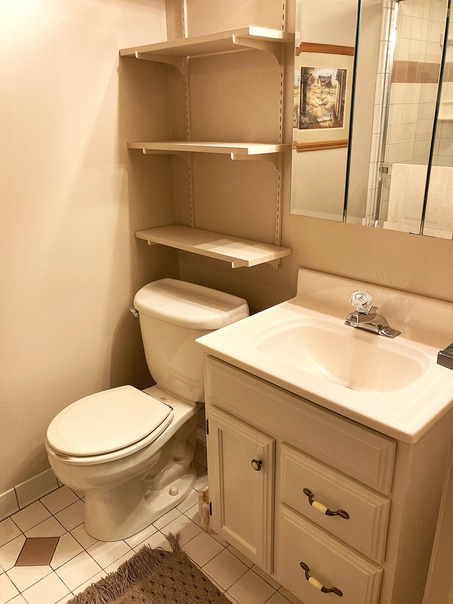 503 West Gilson Street Edmore, MI 48829 - Photo 41 of 52 Basement Bath