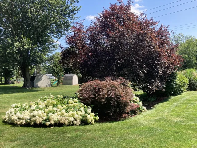 $269,000 | 503 West Gilson Street, Edmore, MI 48829