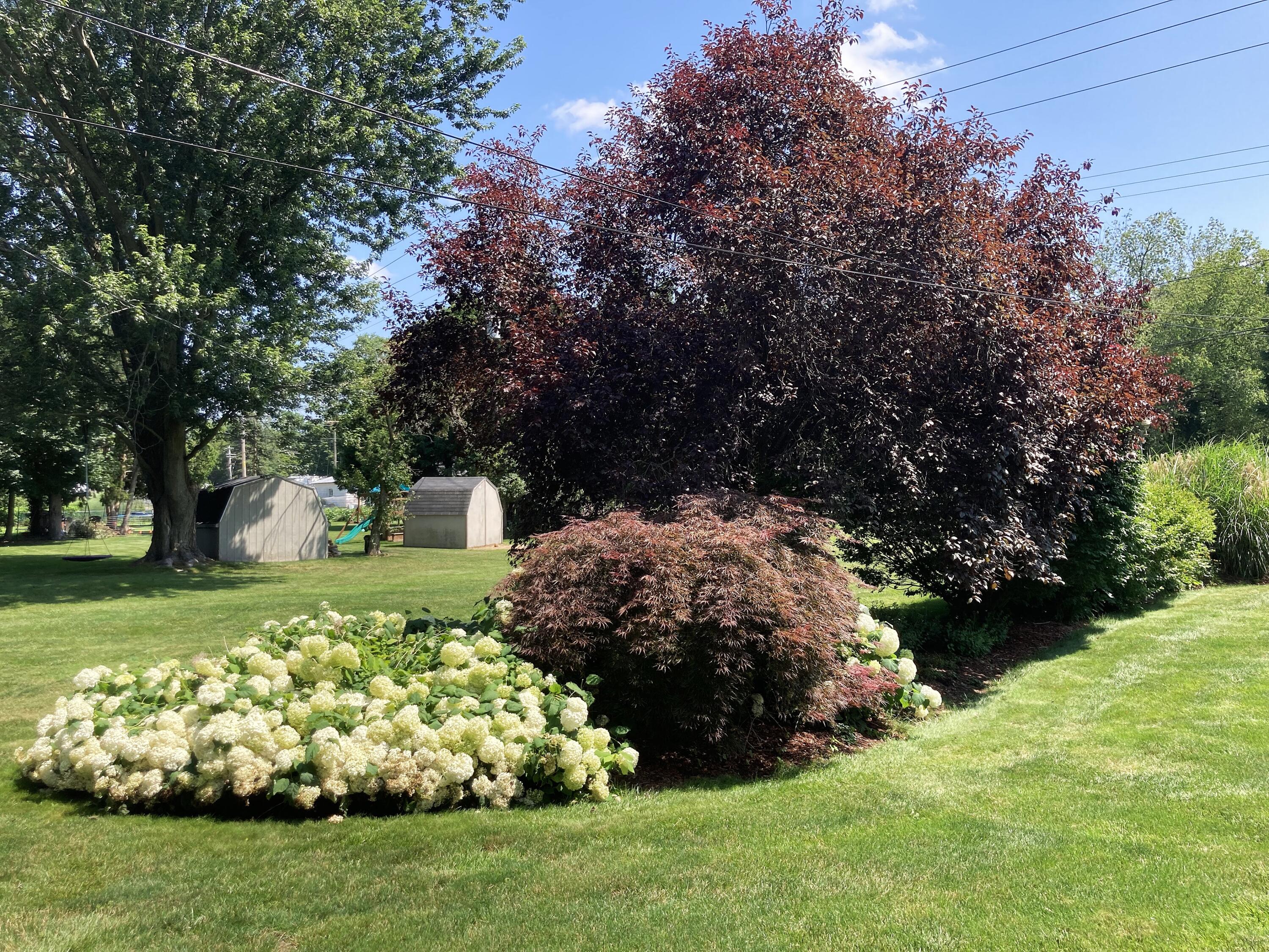 503 West Gilson Street Edmore, MI 48829 - Photo 51 of 52 Landscaping