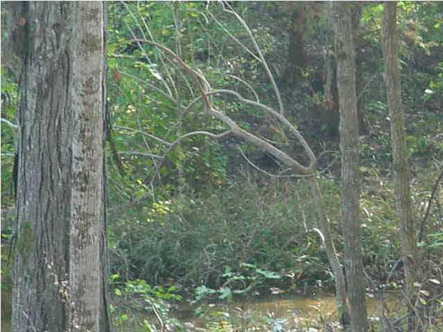 83 Lagoon Road Camden, AL 36726 - Photo 17 of 20