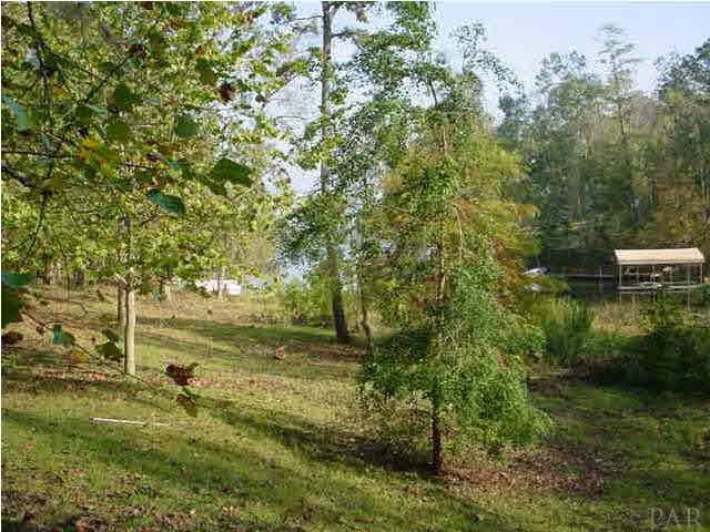 83 Lagoon Road Camden, AL 36726 - Photo 18 of 20