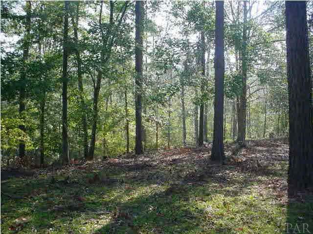 83 Lagoon Road Camden, AL 36726 - Photo 19 of 20