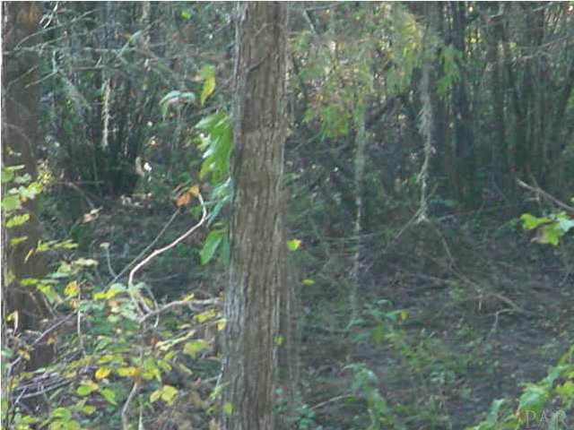83 Lagoon Road Camden, AL 36726 - Photo 20 of 20
