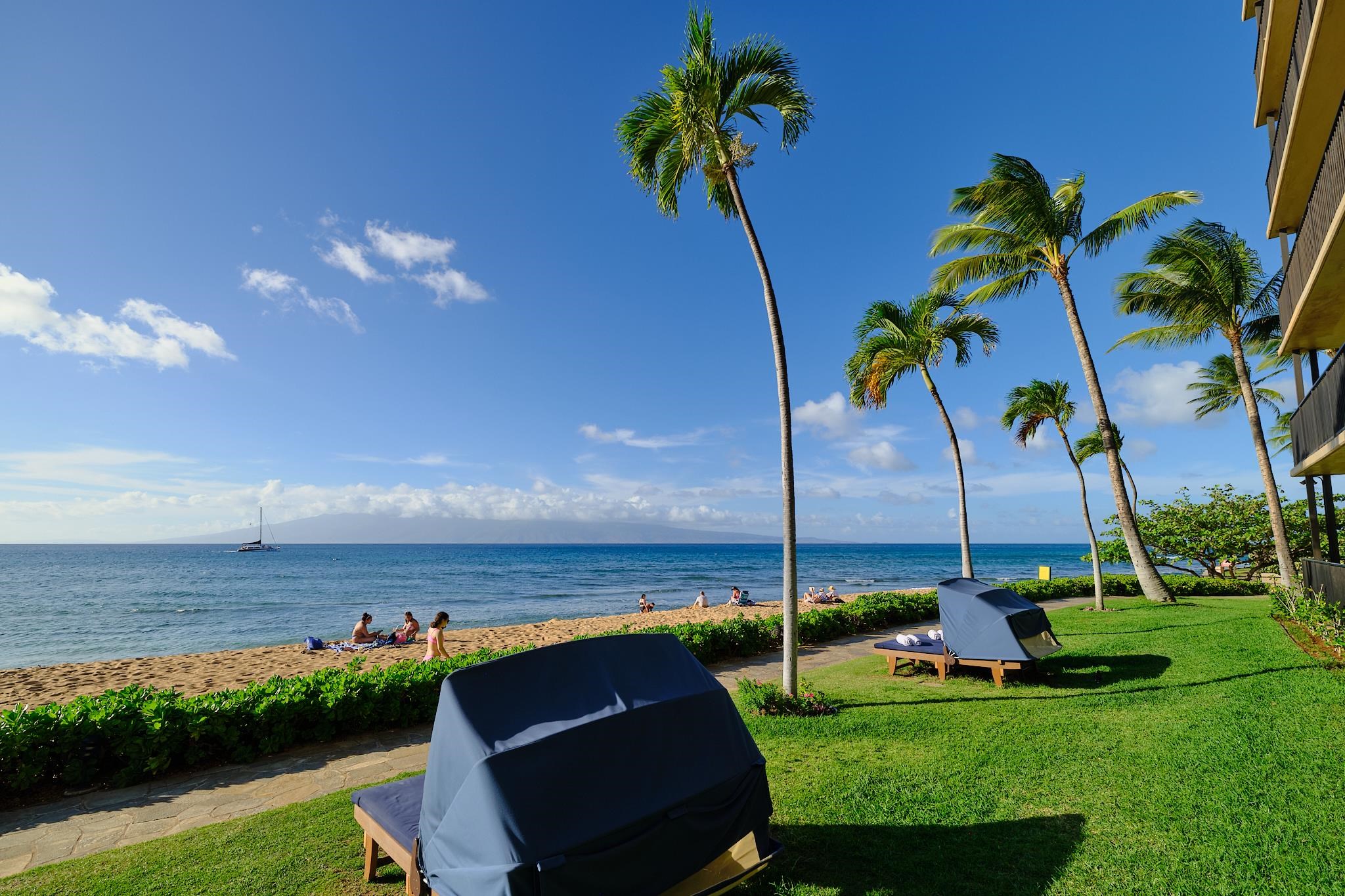 3445 Lower Honoapiilani Road, Unit 212 Lahaina, HI 96761 - Photo 19 of 39 a view of a garden with lawn chairs under an umbrella