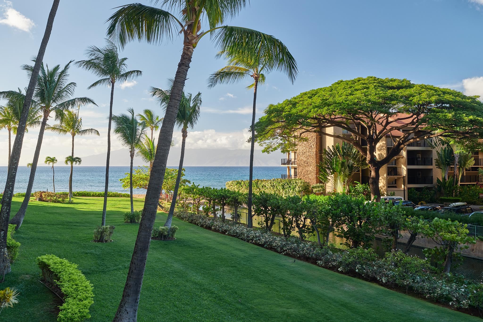 3445 Lower Honoapiilani Road, Unit 212 Lahaina, HI 96761 - Photo 21 of 39 a view of a palm trees front of a house