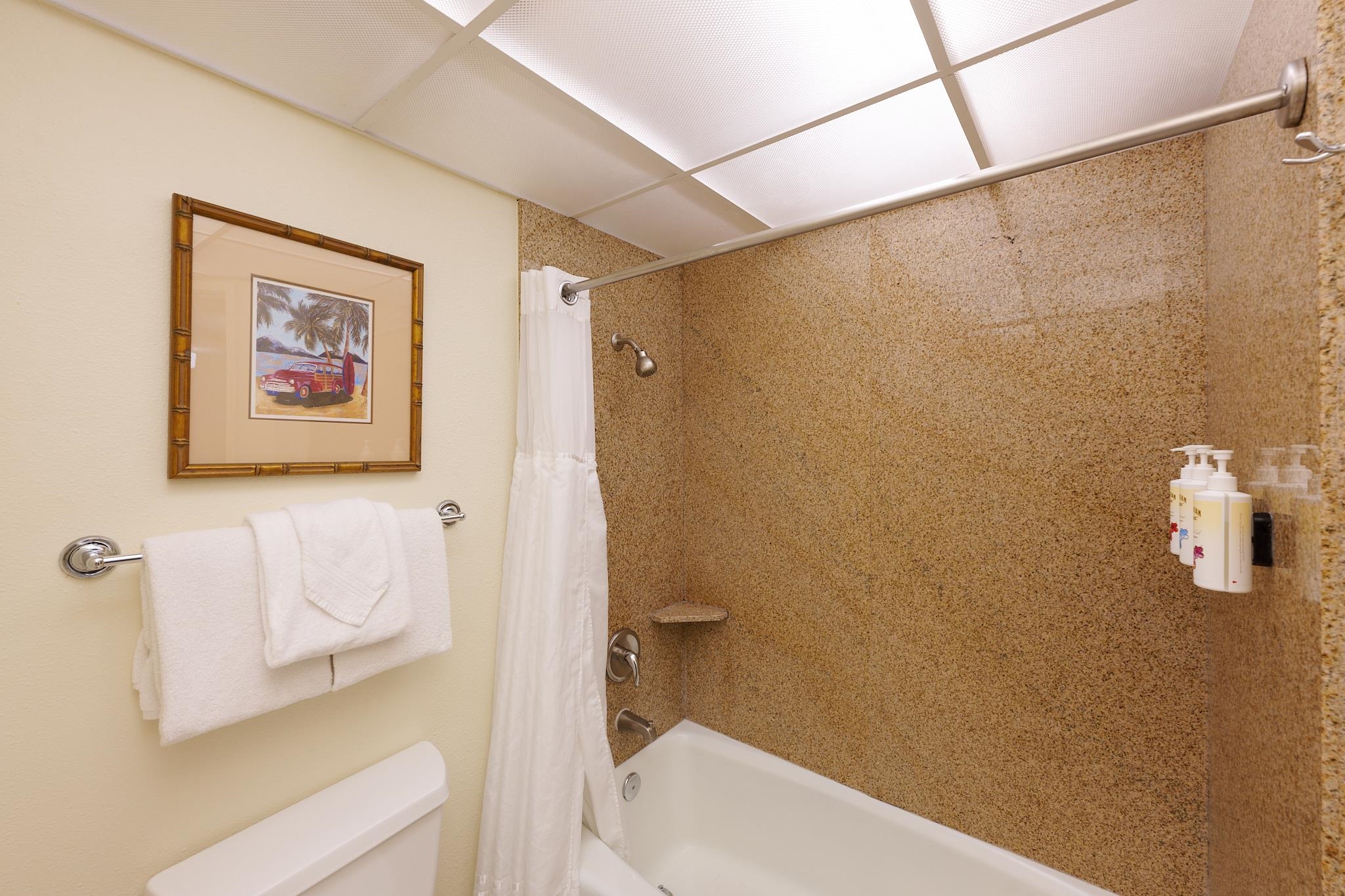 3445 Lower Honoapiilani Road, Unit 212 Lahaina, HI 96761 - Photo 32 of 39 a bathroom with a shower and a toilet
