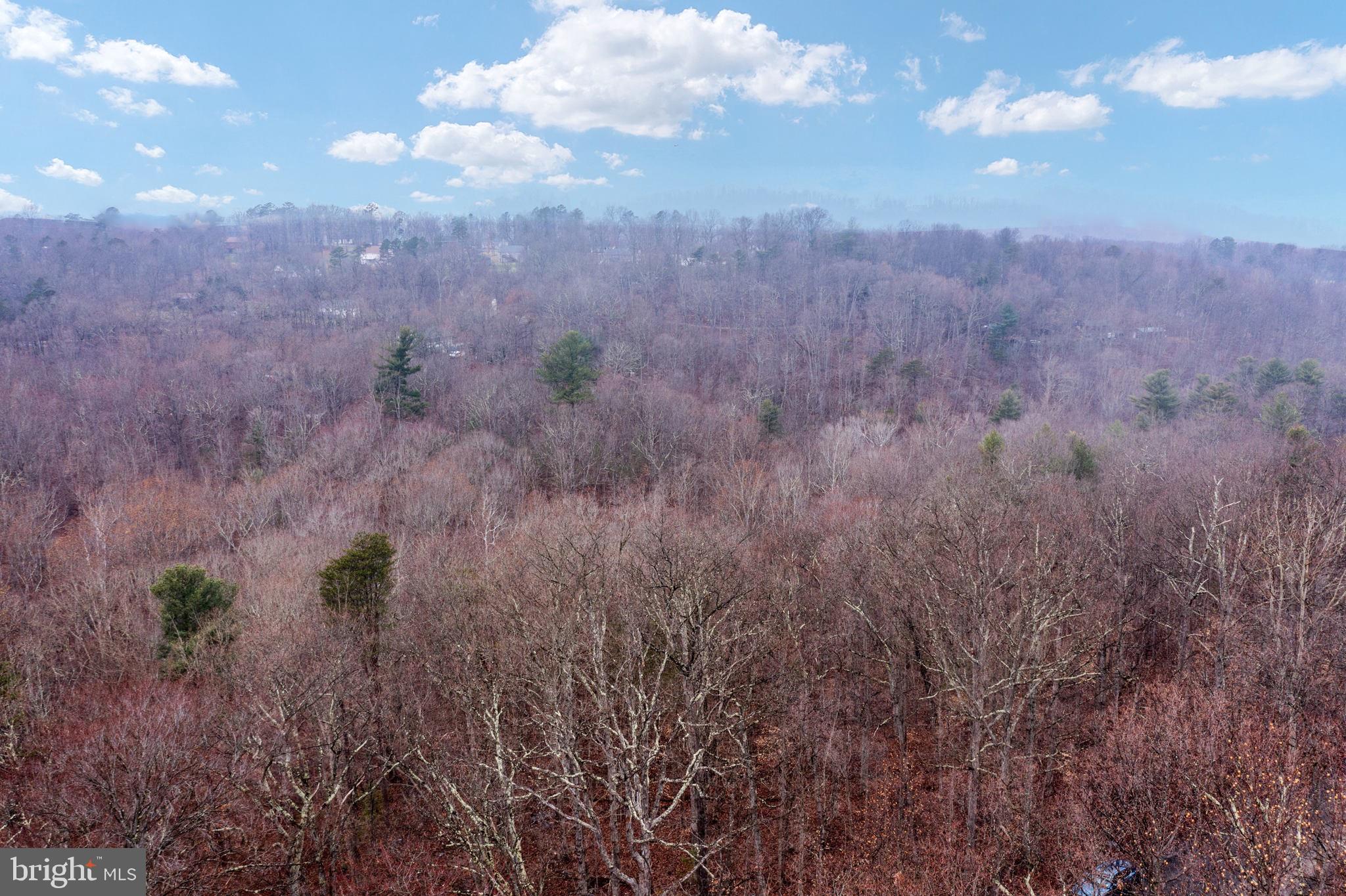 Drummer Hill Front Royal, VA 22630 - Photo 29 of 74 acutal lot
