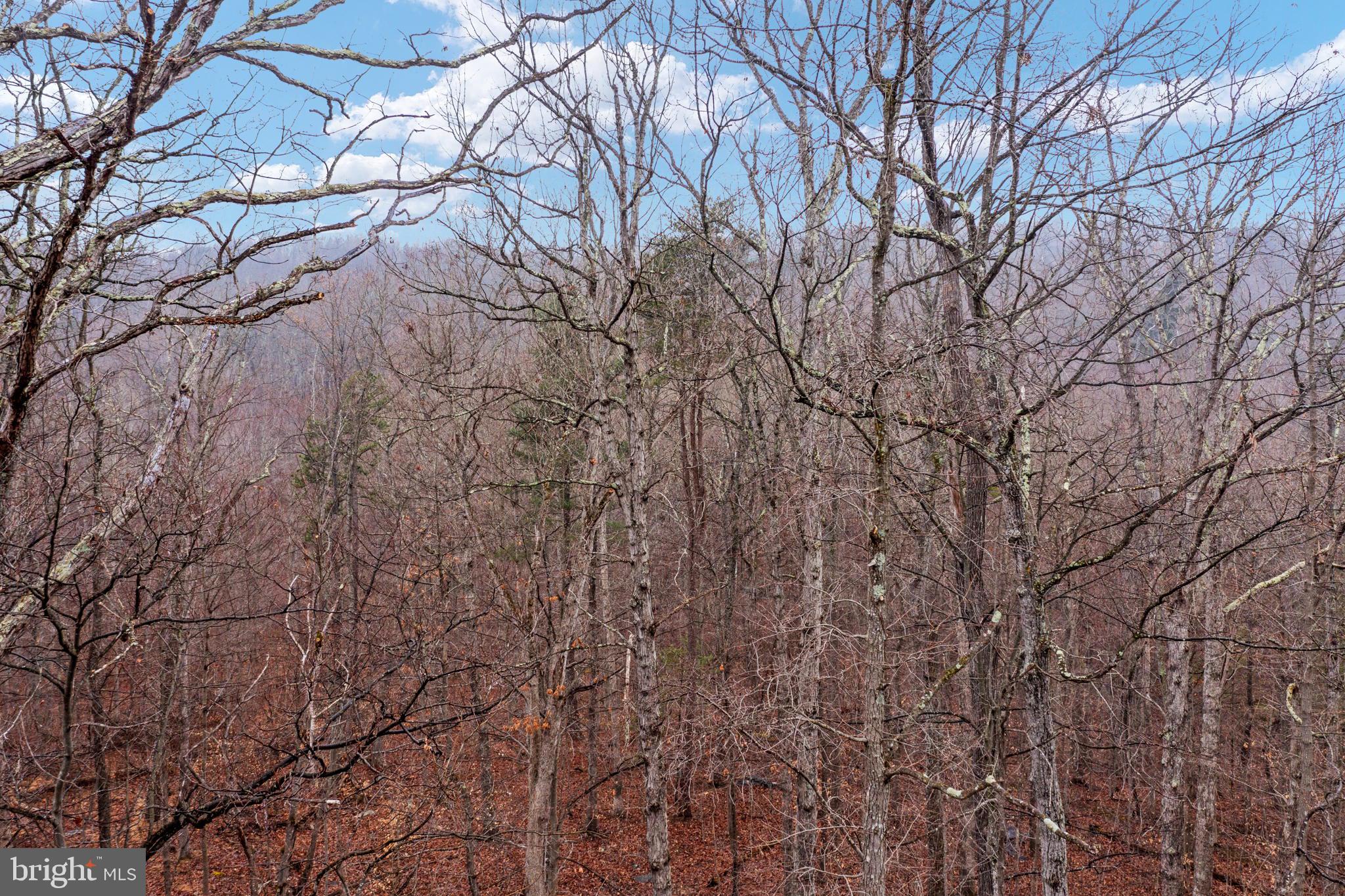 Drummer Hill Front Royal, VA 22630 - Photo 31 of 74