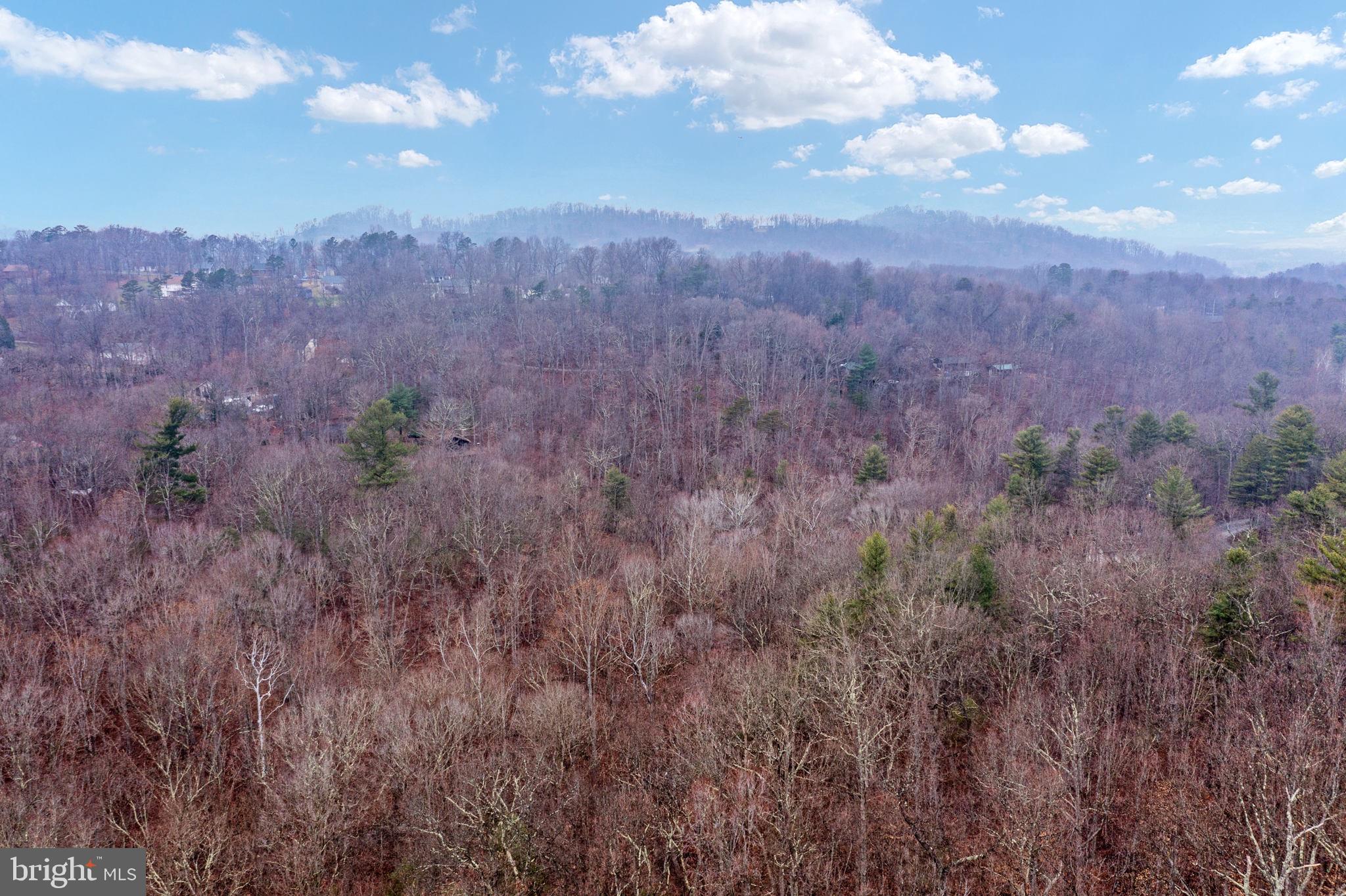 Drummer Hill Front Royal, VA 22630 - Photo 32 of 74