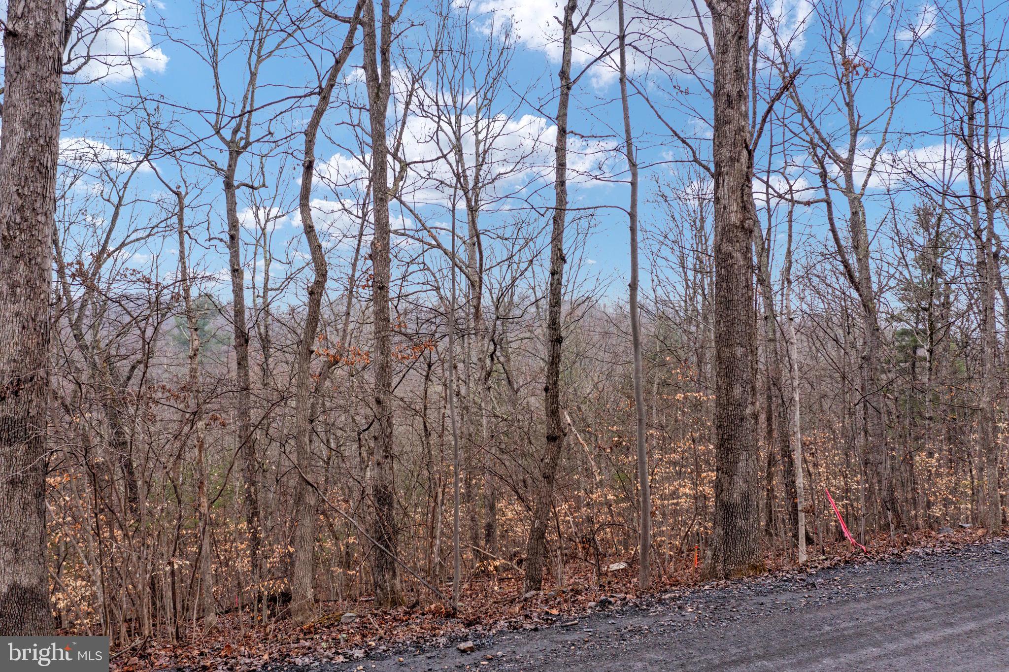 Drummer Hill Front Royal, VA 22630 - Photo 34 of 74