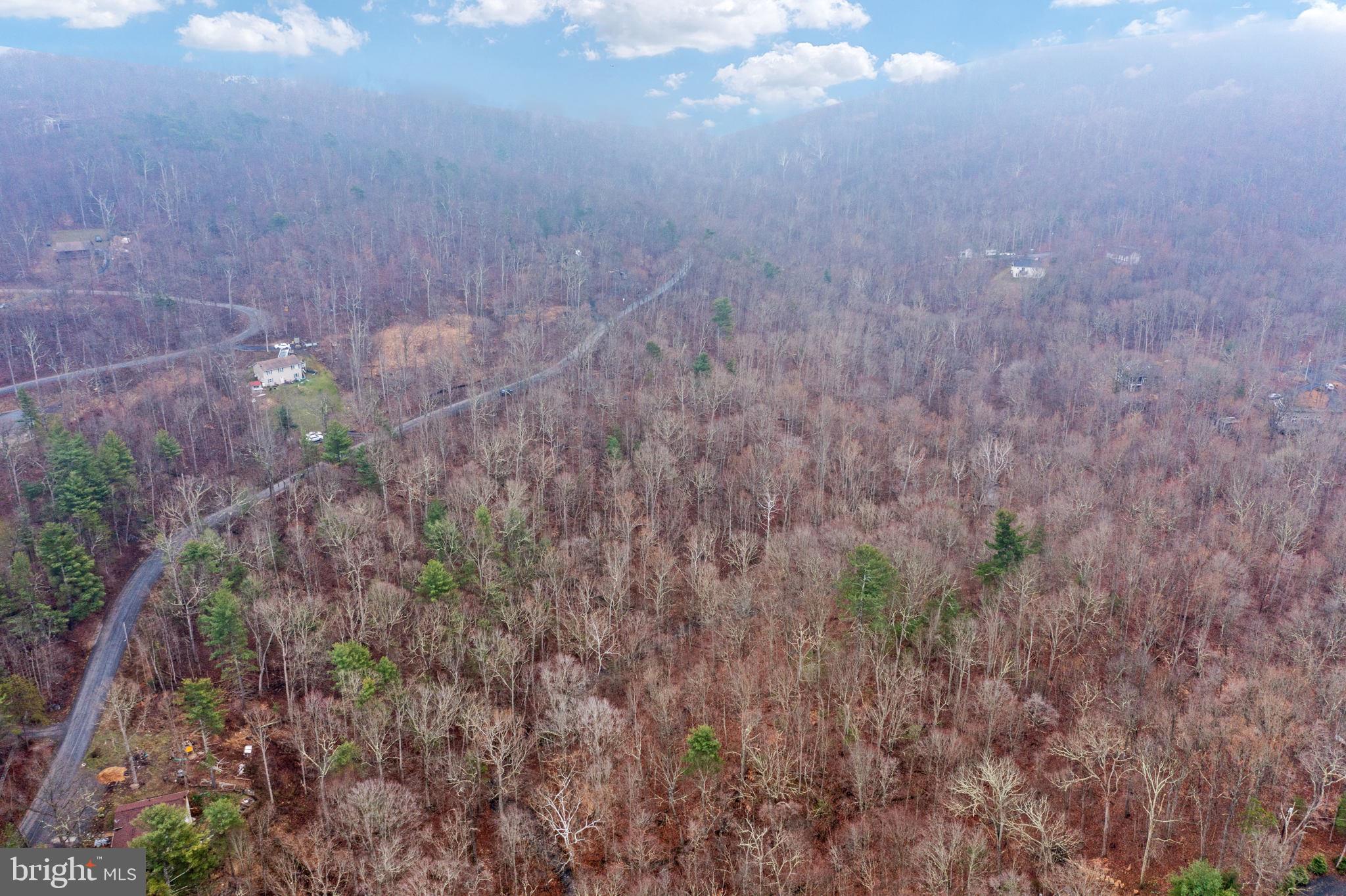 Drummer Hill Front Royal, VA 22630 - Photo 39 of 74