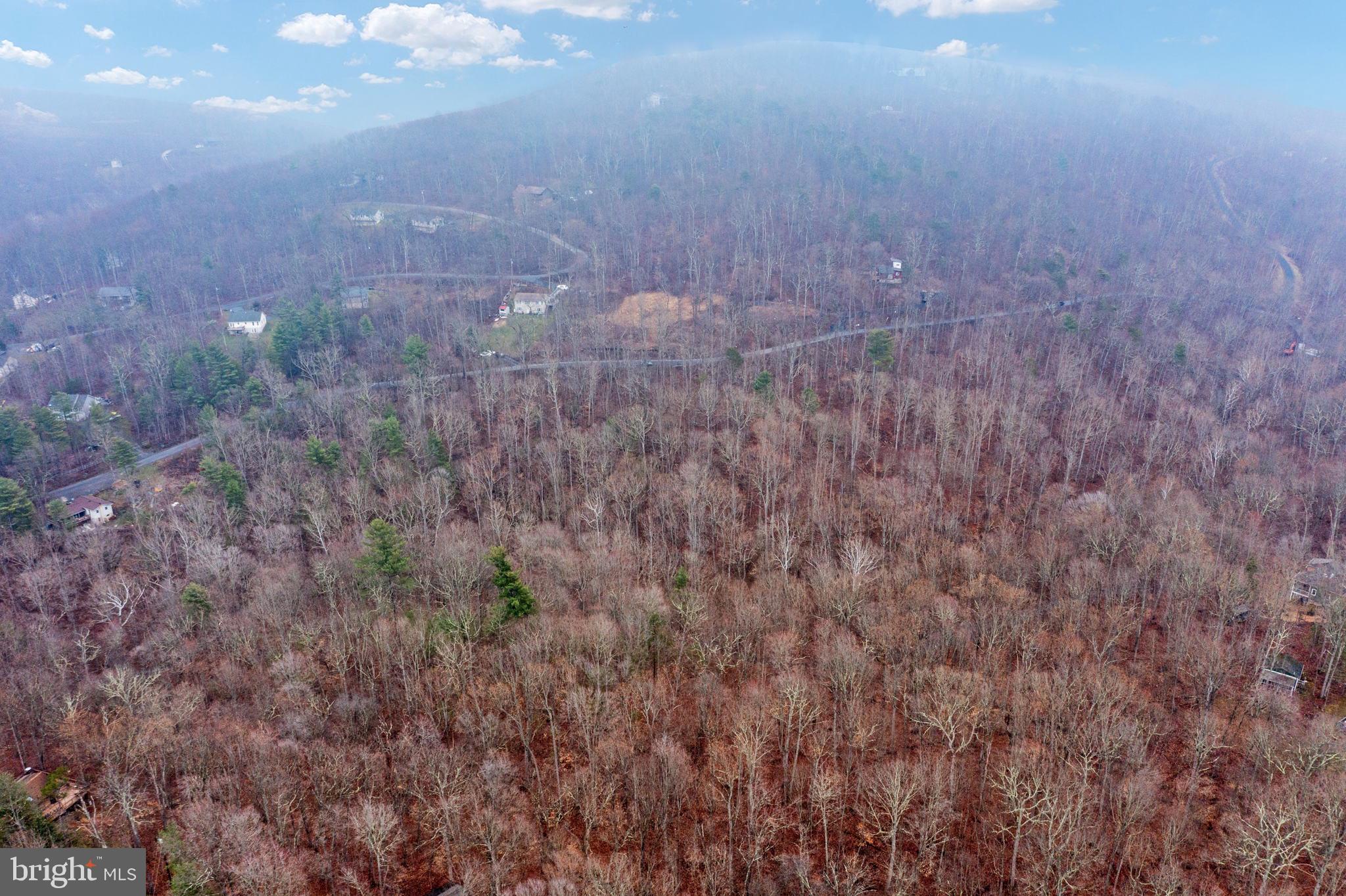 Drummer Hill Front Royal, VA 22630 - Photo 40 of 74