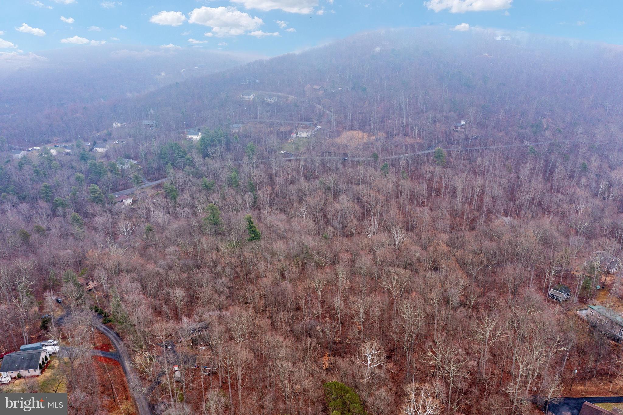 Drummer Hill Front Royal, VA 22630 - Photo 41 of 74