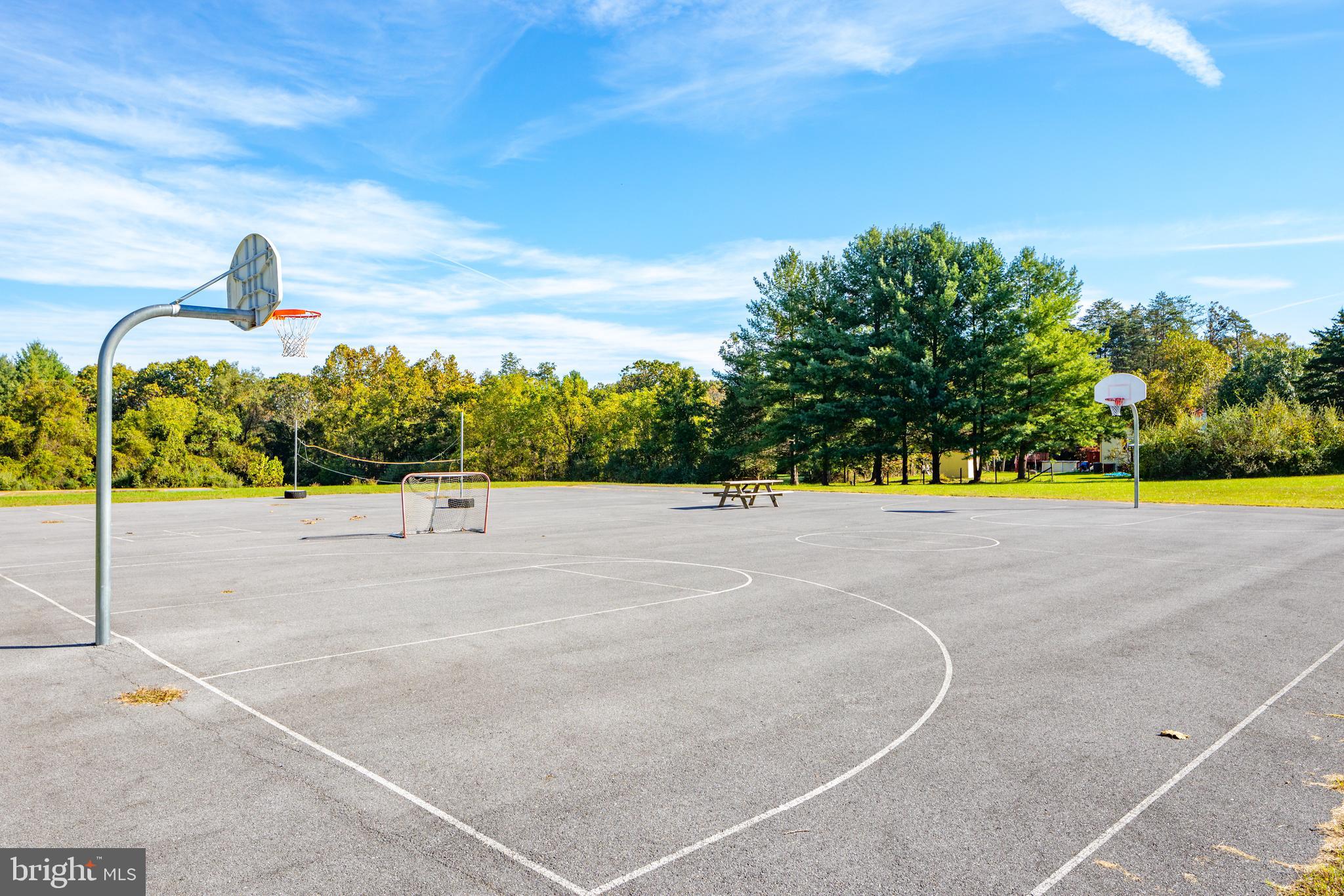 Drummer Hill Front Royal, VA 22630 - Photo 71 of 74