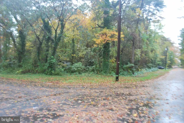 a view of outdoor space and trees