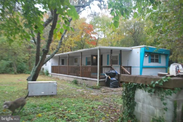 a view of a house with backyard and a tree