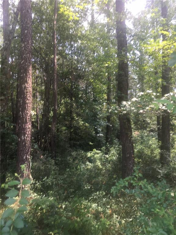 0 Ard Davidson Road Franklinton, LA 70438 - Photo 2 of 4 Gallery Image 2