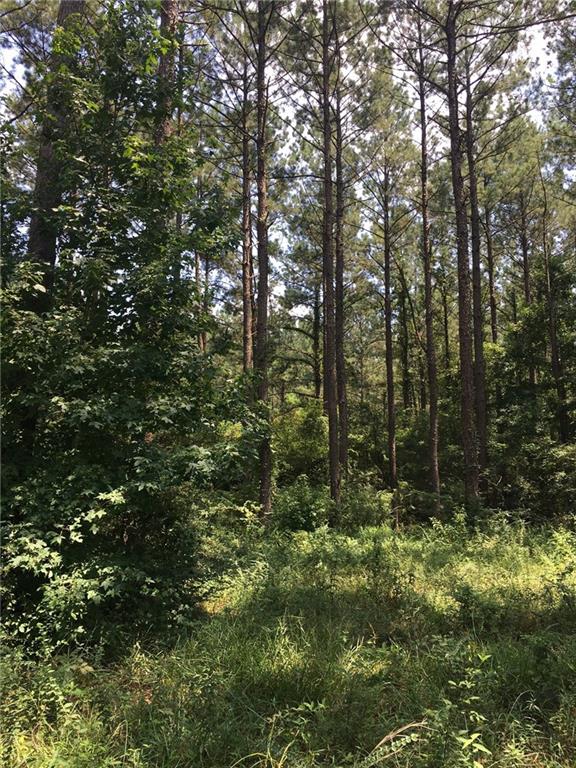 0 Ard Davidson Road Franklinton, LA 70438 - Photo 3 of 4 Gallery Image 3