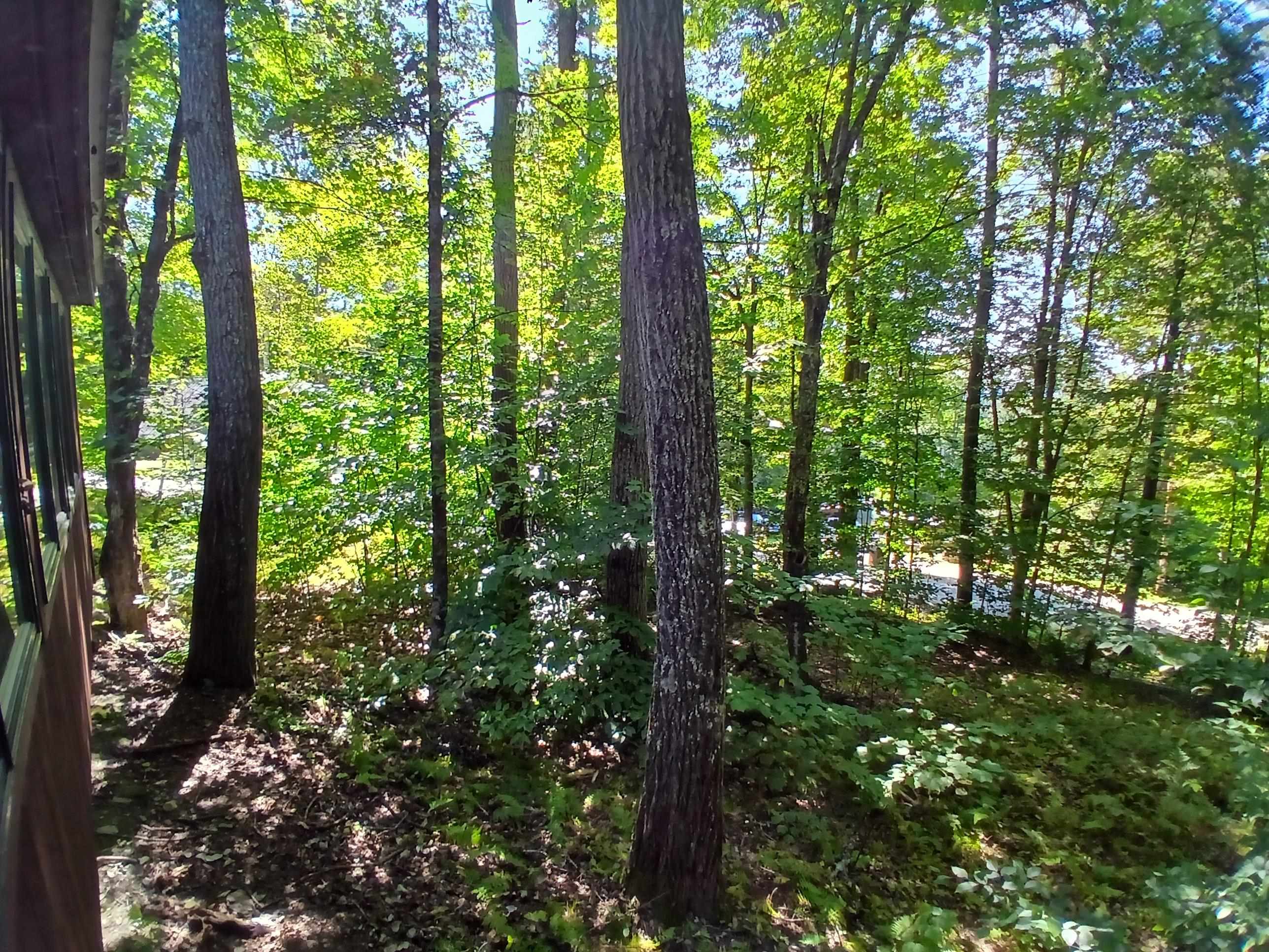 550 Mt View Loop Rochester, VT 05767 - Photo 28 of 32