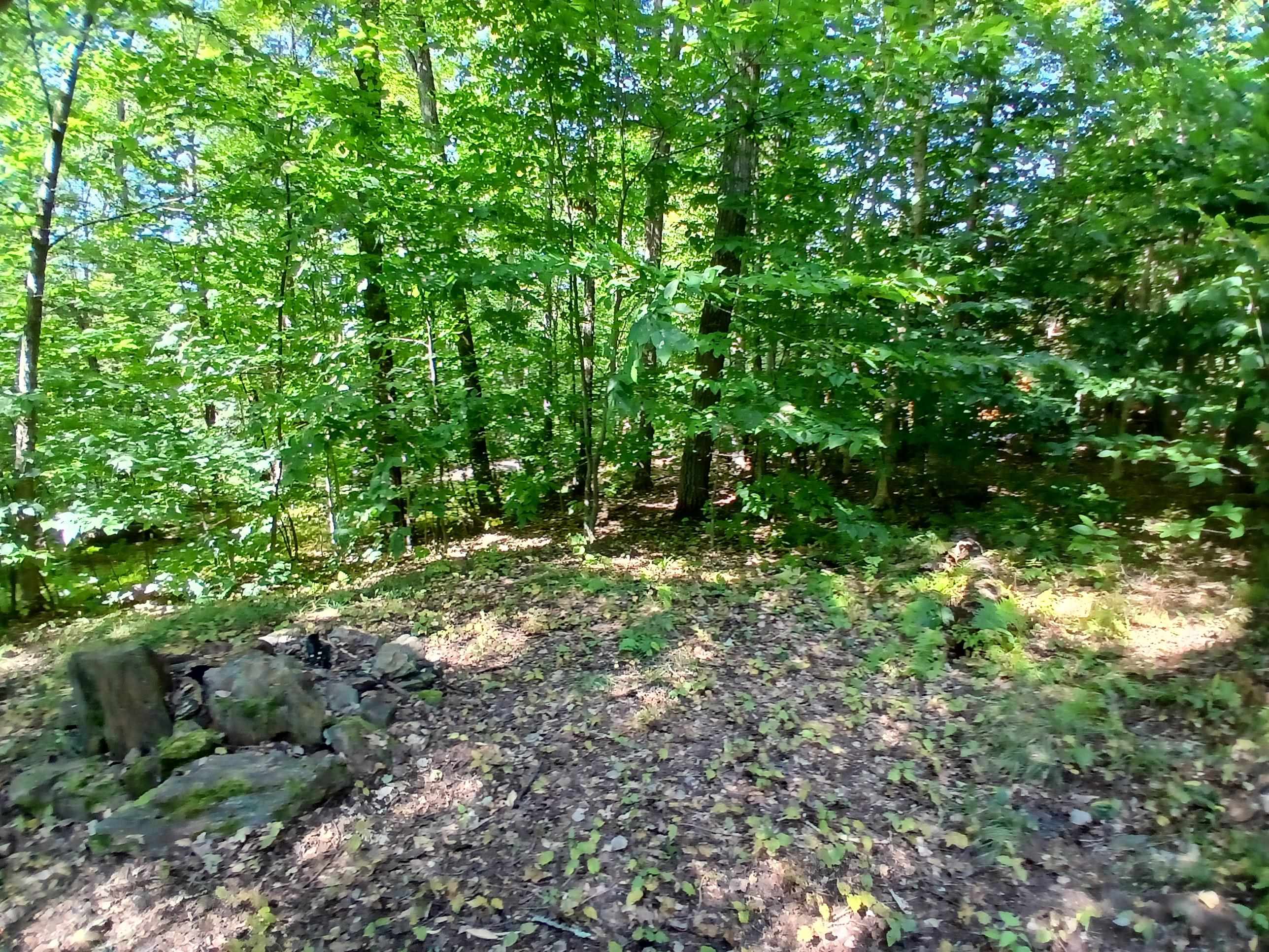 550 Mt View Loop Rochester, VT 05767 - Photo 30 of 32