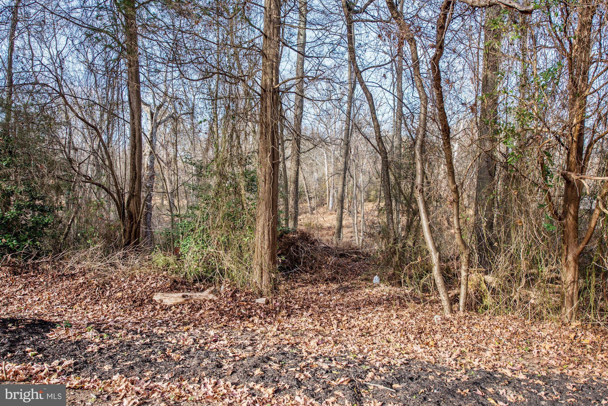 1 Rancocas Lane Medford, NJ 08055 - Photo 55 of 64