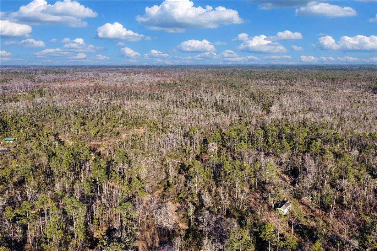8412 Southwest Tower Road Madison, FL 32340 - Photo 25 of 32