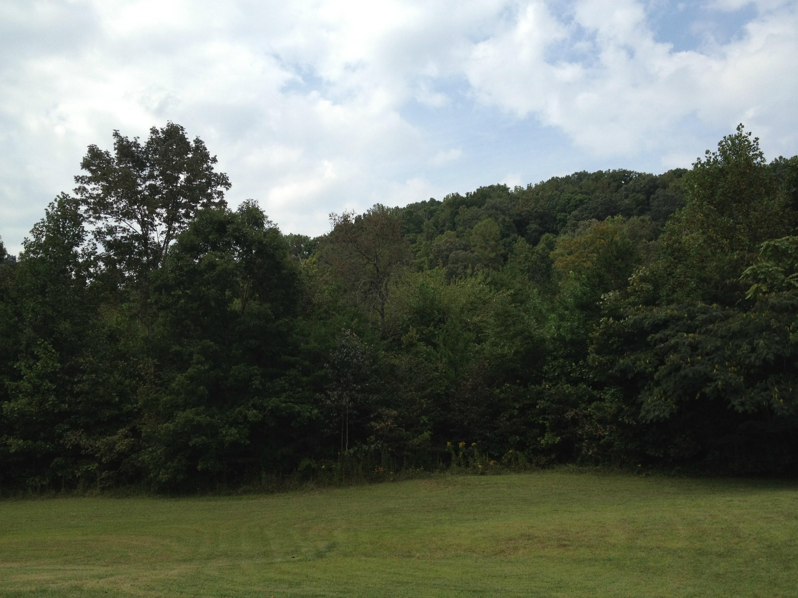 219 East Raccoon Valley Drive Heiskell, TN 37754 - Photo 2 of 21 r2
