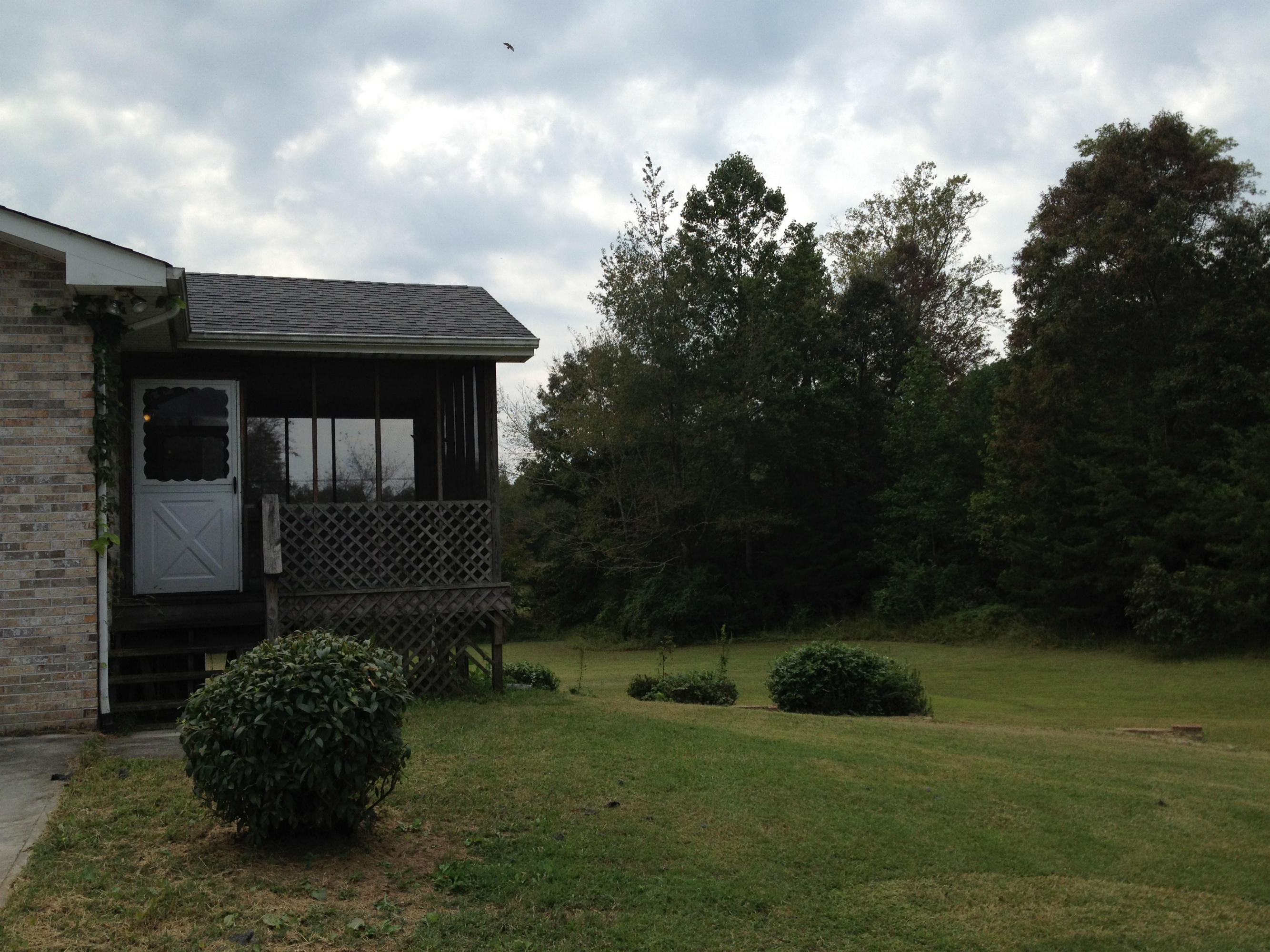 219 East Raccoon Valley Drive Heiskell, TN 37754 - Photo 3 of 21 r3