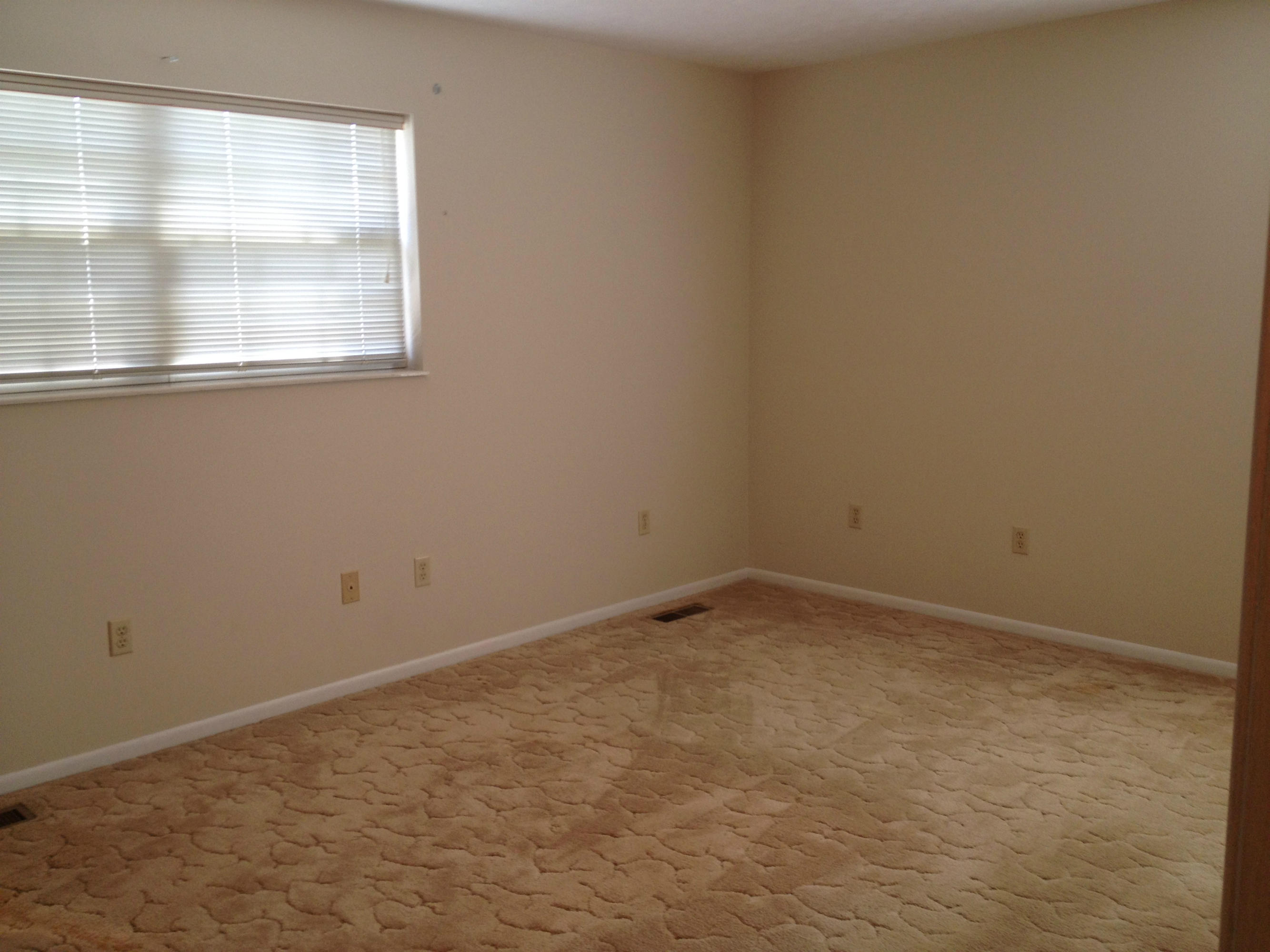 219 East Raccoon Valley Drive Heiskell, TN 37754 - Photo 10 of 21 r10