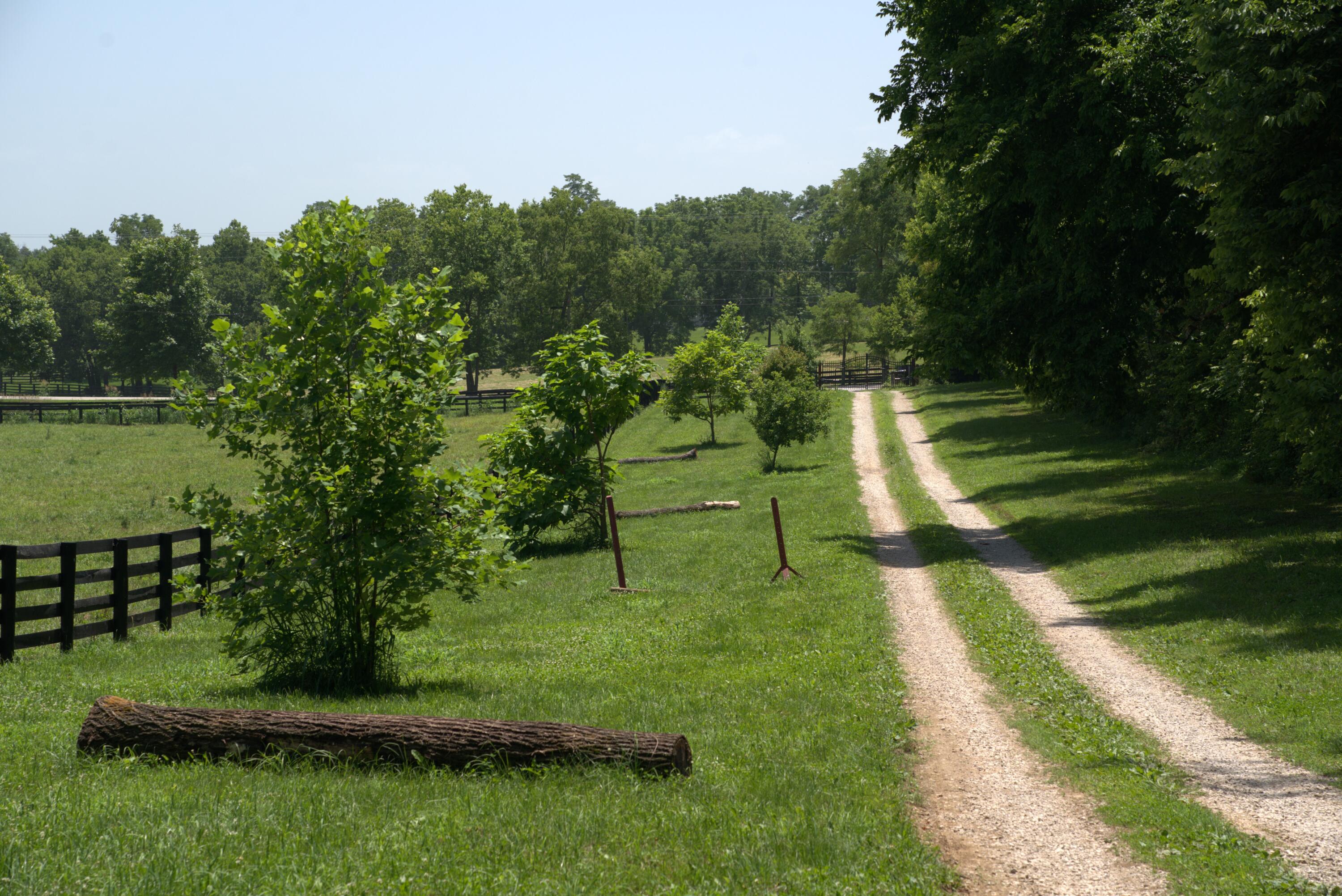 401 Cane Ridge Road Paris, KY 40361 - Photo 23 of 29 _JGB7474