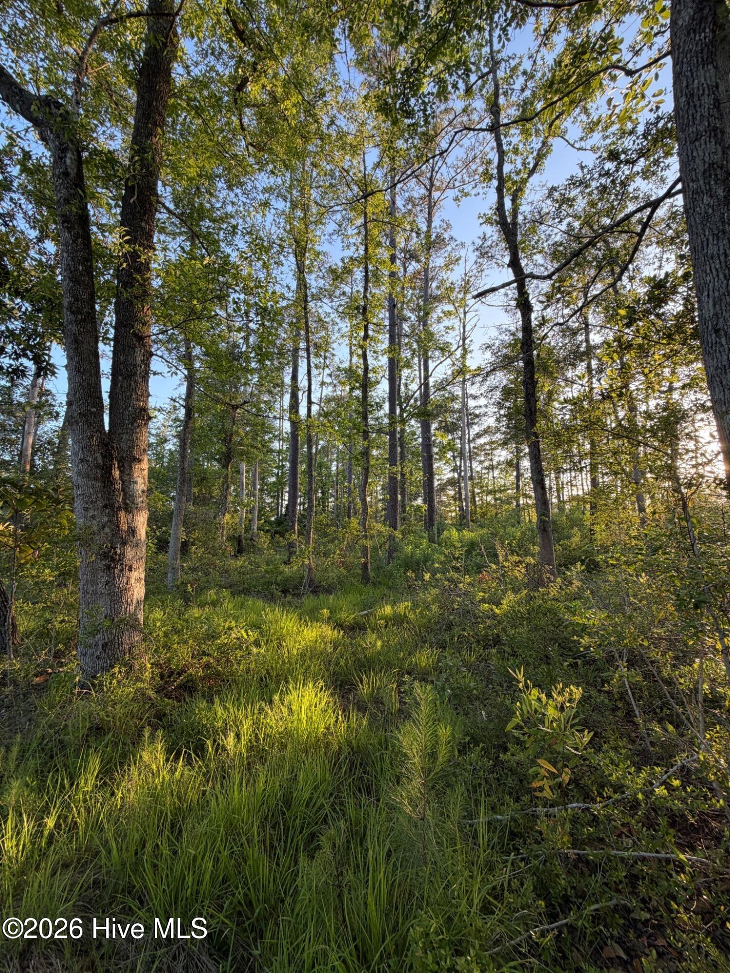 705 Russells Creek Road Beaufort, NC 28516 - Photo 36 of 36