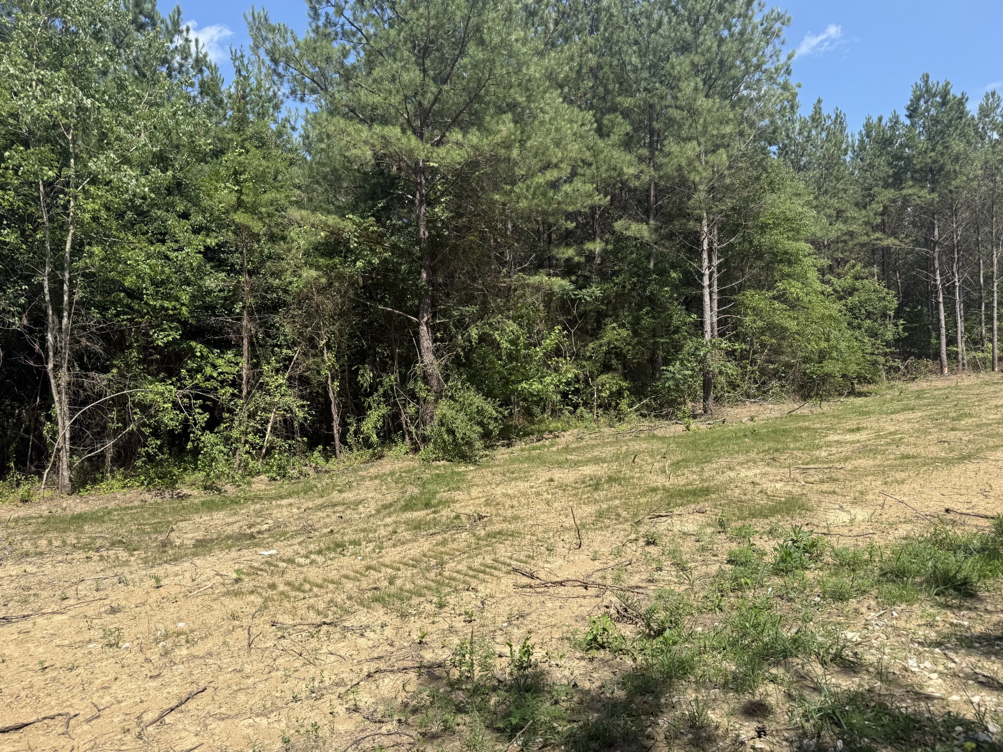 9217 Taylors Chapel Road Sparta, TN 38583 - Photo 9 of 23