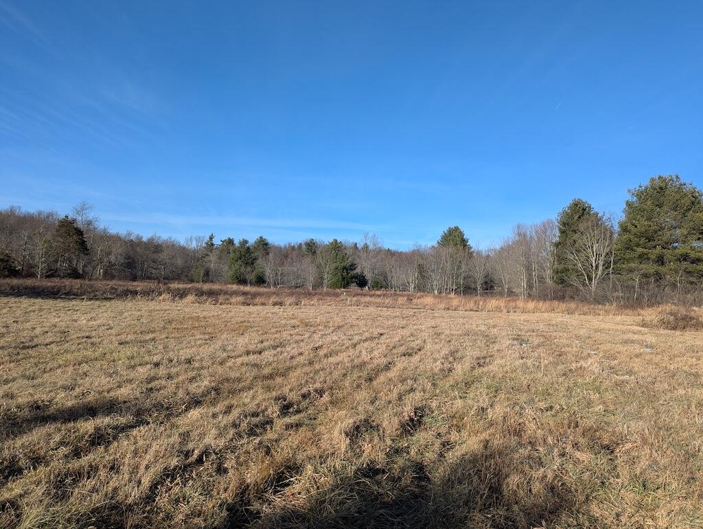 Tbd Firehouse Road Northwest Willis, VA 24380 - Photo 3 of 23