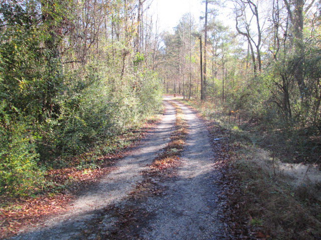 1573 Tucker Road Macon, GA 31220 - Photo 20 of 22 Additional Photo