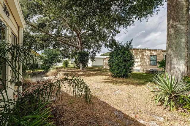 a view of a yard with plants and trees