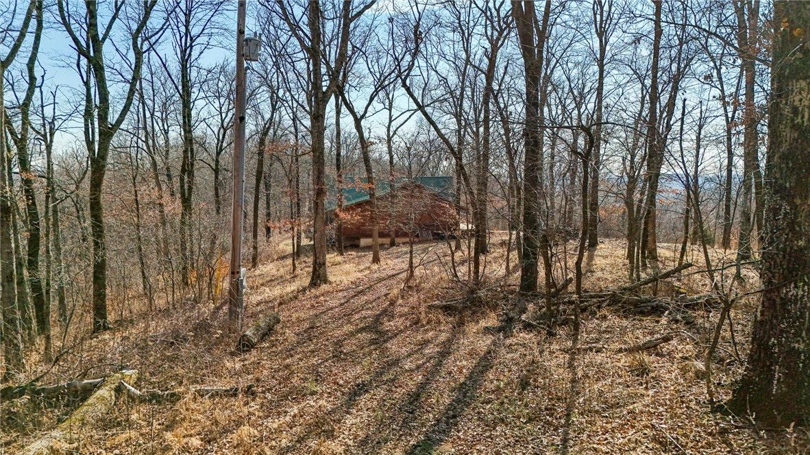10557 North Devils Den Road Winslow, AR 72959 - Photo 45 of 60 View of local wilderness