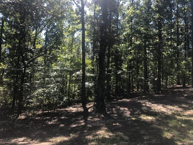 0 Arl Bailey Road Finger, TN 38340 - Photo 5 of 13 a view of outdoor space and green space
