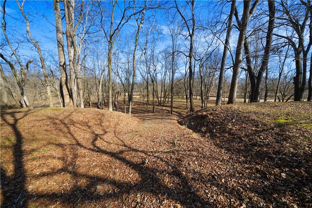 227 Bates Road Southeast Cartersville, GA 30120 - Photo 53 of 65