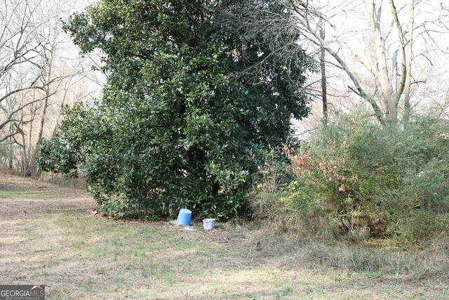 a view of a yard with large trees