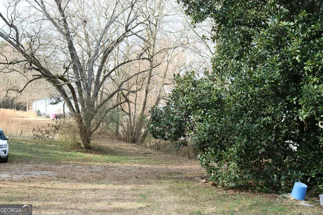 a view of a yard with plants and trees