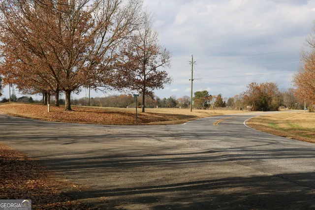 a view of road with large trees