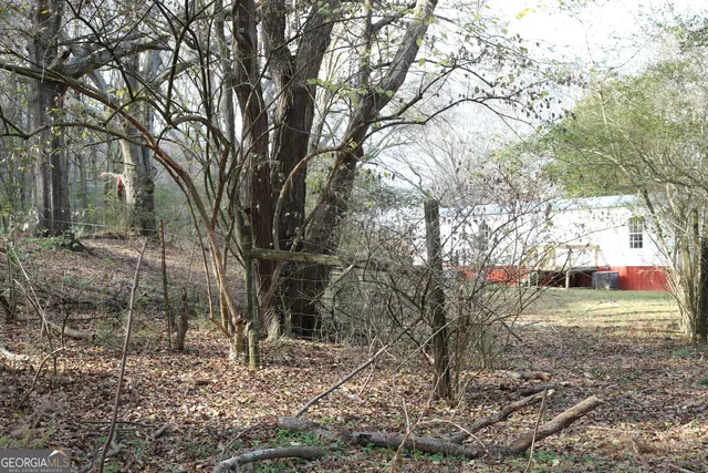 a view of a yard with a tree