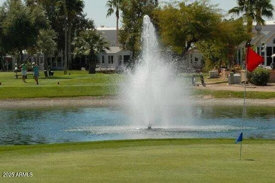 a view of a park with large trees