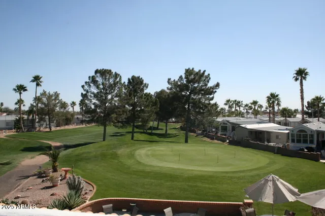 an ocean view with palm trees