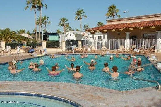 a view of a swimming pool with a garden