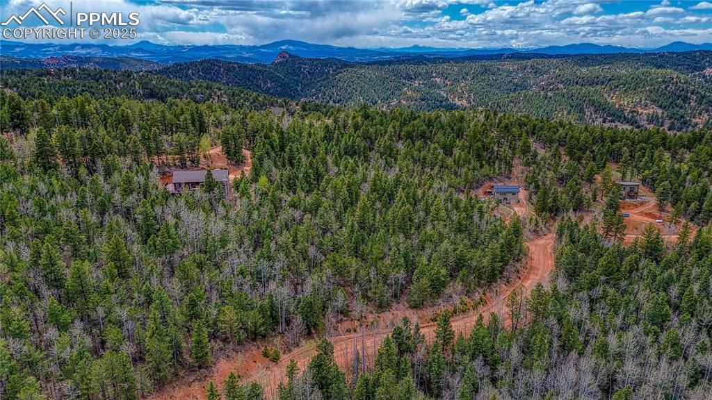 a view of a city with lush green forest