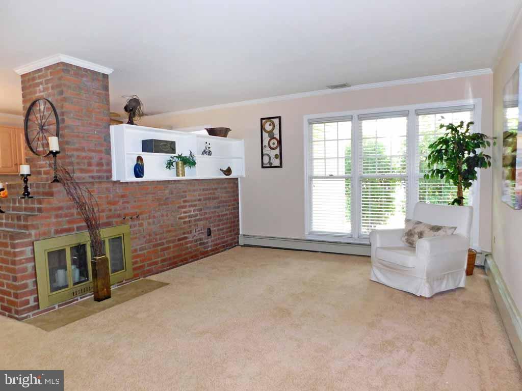 Sunny Living Room