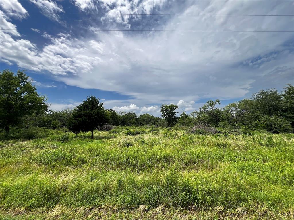 Lot 75 Wolf Ranch Corsicana, TX 75110 - Photo 8 of 19 a view of a big yard with large trees