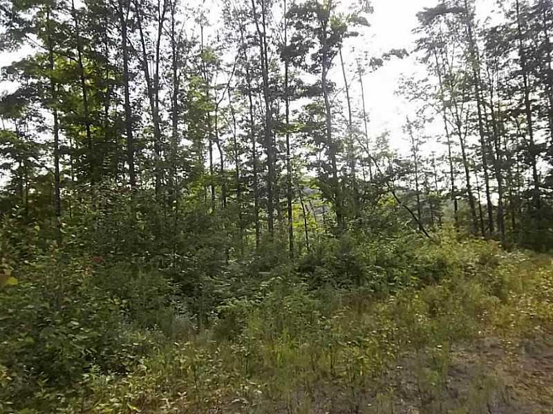 Lot 6 Moooseley Ridge Road Phillips, ME 04966 - Photo 8 of 9 View. View south